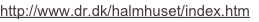 shapeimage_2_link_4